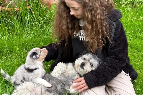 Streichelzeit von Hund und Hundebaby auf dem Schoß eines Kindes im Gras