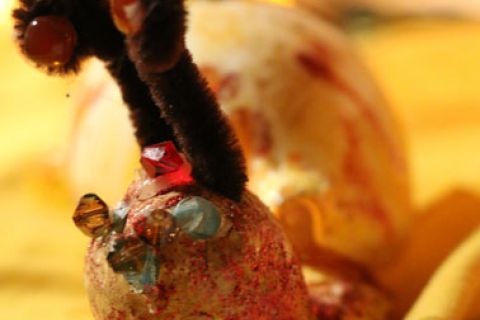 Schnecke