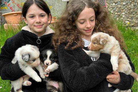 3 Hundebabys kuscheln im Arm von 2 Kindern