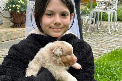 Hundebaby kuschelt im Arm von Kind
